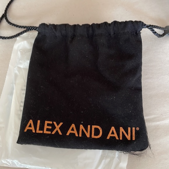 Alex and Ani Womens Boulder EWB, Robin Bangle Bracelet, RG In Original P… - Picture 4 of 4